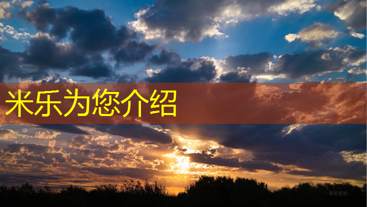 <strong>米樂(lè )為您介紹：南寧環(huán)保塑膠跑道工程</strong>