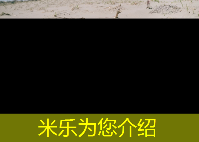米樂(lè )為您介紹：塔城碧桂園塑膠跑道