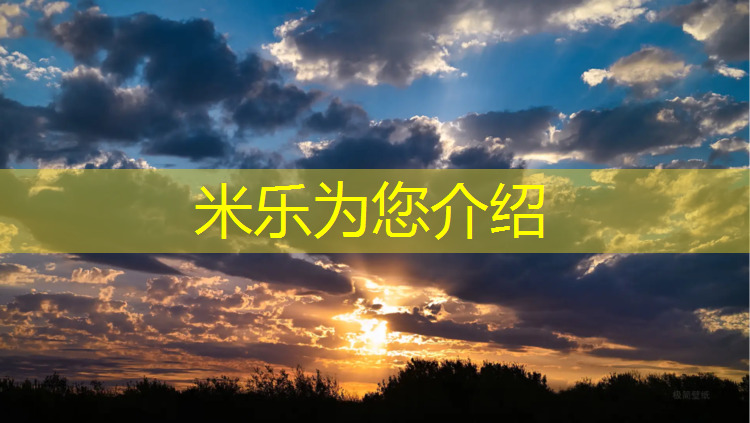 <strong>米樂(lè )m6官網(wǎng)登錄入口為您介紹：操場(chǎng)塑膠跑道材料型號</strong>