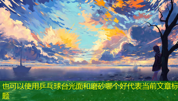 乒乓球臺光面和磨砂哪個(gè)好