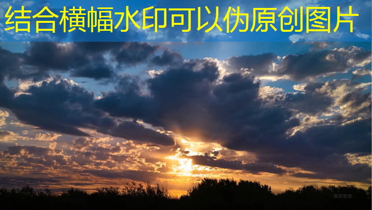 從材料角度看塑膠跑道：五花八門(mén)的選擇等著(zhù)你