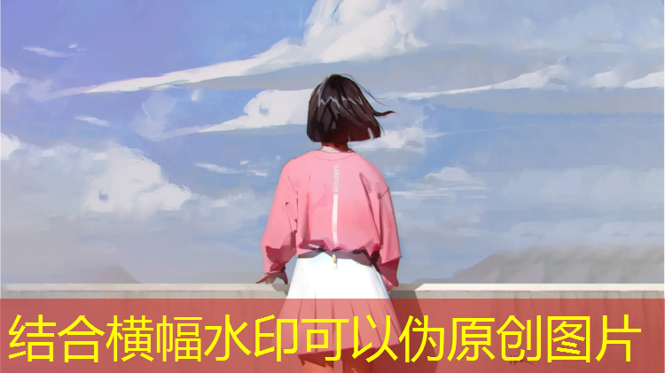 室內健身房器械搭配